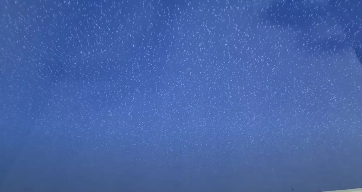 Ялта, , фото 3