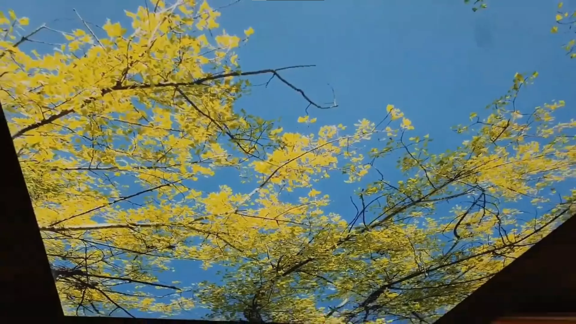 Бахчисарай, , фото 2